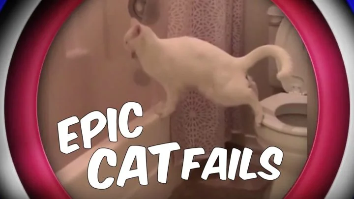 Epic Cat Fails