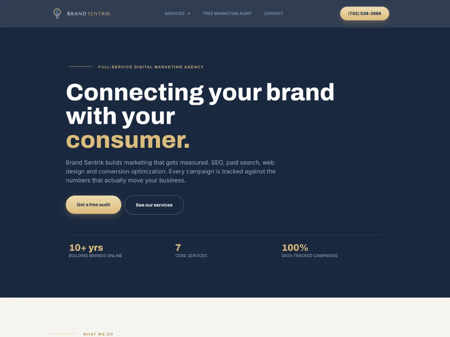 Brandsentrik web design preview